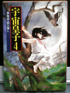 Fcq n (4)̕\